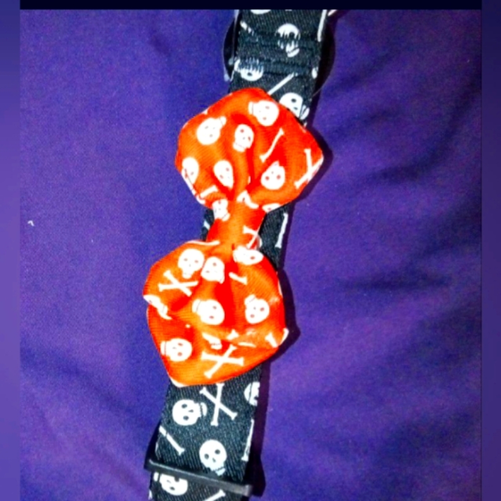 Adjustable Halloween Themed Collar